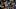 Chicago Cubs Chicago Cubs