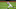 Clint Frazier, NY Yankees (Photo by Mike Stobe/Getty Images) Clint Frazier, NY Yankees (Photo by Mike Stobe/Getty Images)