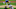 Chicago Cubs Chicago Cubs