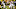 Aug 12, 2016; Green Bay, WI, USA; Cleveland Browns defensive lineman Aug 12, 2016; Green Bay, WI, USA; Cleveland Browns defensive lineman