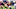 Cleveland Browns Cleveland Browns