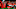 Cleveland Browns Cleveland Browns