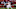 Cleveland Browns Baker Mayfield Cleveland Browns Baker Mayfield