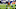Cleveland Browns Cleveland Browns