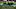 EUGENE, OREGON – NOVEMBER 30: Linebacker Troy Dye #35 of the Oregon Ducks dances during the break between the third and fourth quarter of the game against the Oregon State Beavers at Autzen Stadium on November 30, 2019 in Eugene, Oregon. Oregon won the game 24-10. (Photo by Steve Dykes/Getty Images) EUGENE, OREGON – NOVEMBER 30: Linebacker Troy Dye #35 of the Oregon Ducks dances during the break between the third and fourth quarter of the game against the Oregon State Beavers at Autzen Stadium on November 30, 2019 in Eugene, Oregon. Oregon won the game 24-10. (Photo by Steve Dykes/Getty Images)
