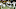 Cleveland Browns Cleveland Browns