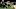 Cleveland Browns Cleveland Browns