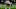 Cleveland Browns Cleveland Browns