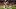 DENVER, COLORADO – DECEMBER 15: Breshad Perriman #19 of the Cleveland Browns catches a pass for a touchdown against Tramaine Brock #22 of the Denver Broncos at Broncos Stadium at Mile High on December 15, 2018 in Denver, Colorado. (Photo by Matthew Stockman/Getty Images) DENVER, COLORADO – DECEMBER 15: Breshad Perriman #19 of the Cleveland Browns catches a pass for a touchdown against Tramaine Brock #22 of the Denver Broncos at Broncos Stadium at Mile High on December 15, 2018 in Denver, Colorado. (Photo by Matthew Stockman/Getty Images)