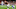 Cleveland Browns Cleveland Browns