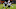 Cleveland Browns Cleveland Browns