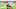 Cleveland Browns Cleveland Browns