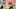 Cleveland Browns Cleveland Browns
