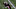 Cleveland Browns Cleveland Browns