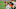 Cleveland Browns Cleveland Browns