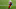 Cleveland Browns, Jarvis Landry Cleveland Browns, Jarvis Landry