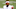 Cleveland Browns Cleveland Browns