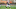 Cleveland Browns Cleveland Browns