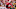 Browns, NFL Mock Draft Browns, NFL Mock Draft