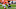 Cleveland Browns Cleveland Browns