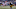 PITTSBURGH, PA – DECEMBER 31: JuJu Smith-Schuster #19 of the Pittsburgh Steelers catches a pass behind Michael Jordan #41 of the Cleveland Browns for a 20 yard touchdown in the second quarter during the game at Heinz Field on December 31, 2017 in Pittsburgh, Pennsylvania. (Photo by Justin K. Aller/Getty Images) PITTSBURGH, PA – DECEMBER 31: JuJu Smith-Schuster #19 of the Pittsburgh Steelers catches a pass behind Michael Jordan #41 of the Cleveland Browns for a 20 yard touchdown in the second quarter during the game at Heinz Field on December 31, 2017 in Pittsburgh, Pennsylvania. (Photo by Justin K. Aller/Getty Images)
