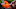 Cleveland Browns Cleveland Browns