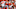 Cleveland Browns Cleveland Browns