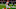 Cleveland Browns Cleveland Browns
