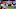 Cleveland Browns Cleveland Browns