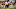 Cleveland Browns Cleveland Browns
