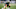 CHARLOTTE, NORTH CAROLINA – NOVEMBER 23: Alex Highsmith #5 of the Charlotte 49ers during the first half during their game against the Marshall Thundering Herd at Jerry Richardson Stadium on November 23, 2019 in Charlotte, North Carolina. (Photo by Jacob Kupferman/Getty Images) CHARLOTTE, NORTH CAROLINA – NOVEMBER 23: Alex Highsmith #5 of the Charlotte 49ers during the first half during their game against the Marshall Thundering Herd at Jerry Richardson Stadium on November 23, 2019 in Charlotte, North Carolina. (Photo by Jacob Kupferman/Getty Images)