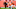 Cleveland Browns Cleveland Browns