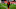 CLEVELAND, OH – DECEMBER 8: Larry Ogunjobi #65 of the Cleveland Browns walks off of the field after the game against the Cincinnati Bengals at FirstEnergy Stadium on December 8, 2019 in Cleveland, Ohio. Cleveland defeated Cincinnati 27-19. (Photo by Kirk Irwin/Getty Images) CLEVELAND, OH – DECEMBER 8: Larry Ogunjobi #65 of the Cleveland Browns walks off of the field after the game against the Cincinnati Bengals at FirstEnergy Stadium on December 8, 2019 in Cleveland, Ohio. Cleveland defeated Cincinnati 27-19. (Photo by Kirk Irwin/Getty Images)