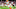 Cleveland Browns Cleveland Browns