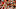 Cleveland Browns Cleveland Browns