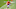Cleveland Browns Cleveland Browns
