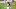 Cleveland Browns Cleveland Browns