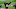Cleveland Browns Cleveland Browns
