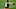 Cleveland Browns Cleveland Browns