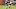 Cleveland Browns S Karl Joseph. (Photo by Jason Miller/Getty Images) Cleveland Browns S Karl Joseph. (Photo by Jason Miller/Getty Images)