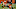 Cleveland Browns Cleveland Browns