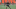 Cleveland Browns Cleveland Browns