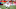 CLEVELAND, OH – OCTOBER 08: Joe Schobert #53 of the Cleveland Browns in action during a game against the New York Jets at FirstEnergy Stadium on October 8, 2017 in Cleveland, Ohio. The Jets defeated the Browns 17-14. (Photo by Joe Robbins/Getty Images) CLEVELAND, OH – OCTOBER 08: Joe Schobert #53 of the Cleveland Browns in action during a game against the New York Jets at FirstEnergy Stadium on October 8, 2017 in Cleveland, Ohio. The Jets defeated the Browns 17-14. (Photo by Joe Robbins/Getty Images)