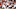 Cleveland Browns Cleveland Browns