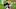 Cleveland Browns Cleveland Browns