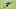 Cleveland Browns Cleveland Browns