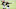 Cleveland Browns Cleveland Browns