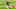 Cleveland Browns, Baker Mayfield Cleveland Browns, Baker Mayfield