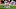 Cleveland Browns, Baker Mayfield Cleveland Browns, Baker Mayfield
