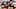 Cleveland Browns Cleveland Browns